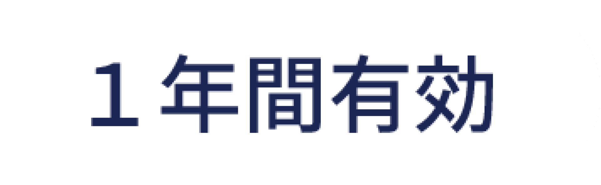 １年間有効
