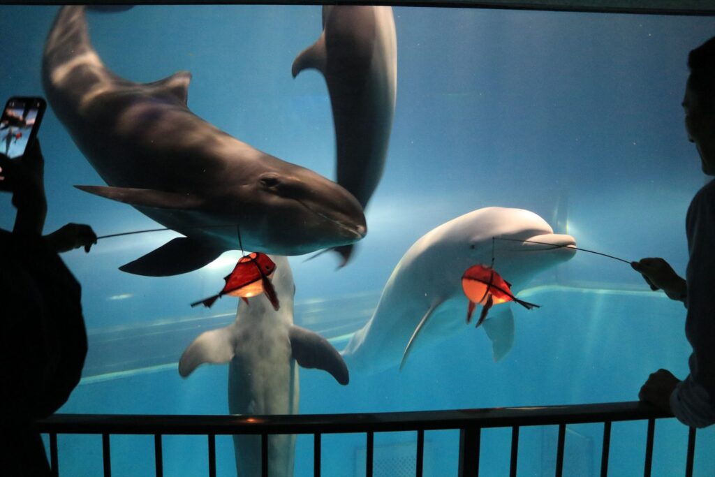 ナイトミュージアム